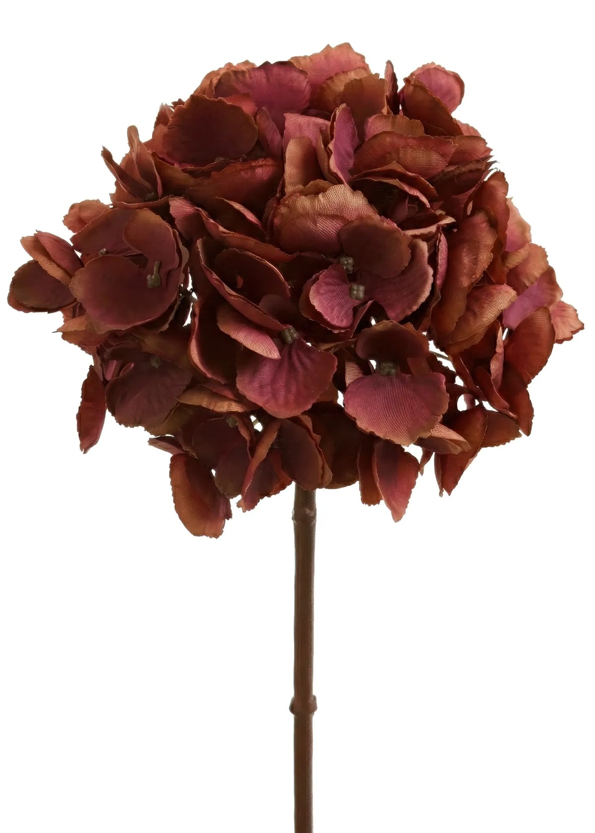 Hydrangea Stem Bordeaux