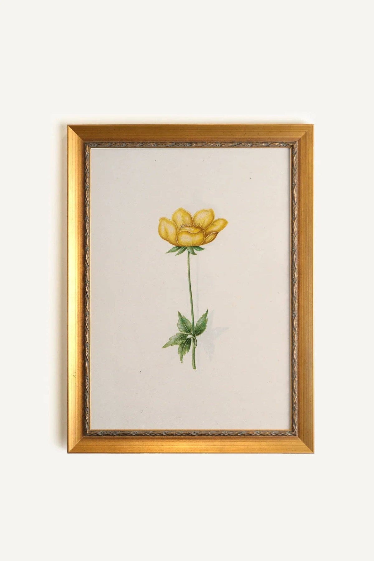 Botanical Poetry - Framed