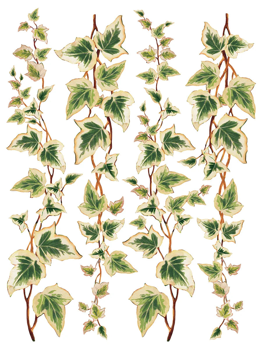 Collage de Fleurs