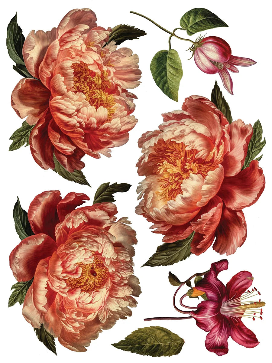 Collage de Fleurs
