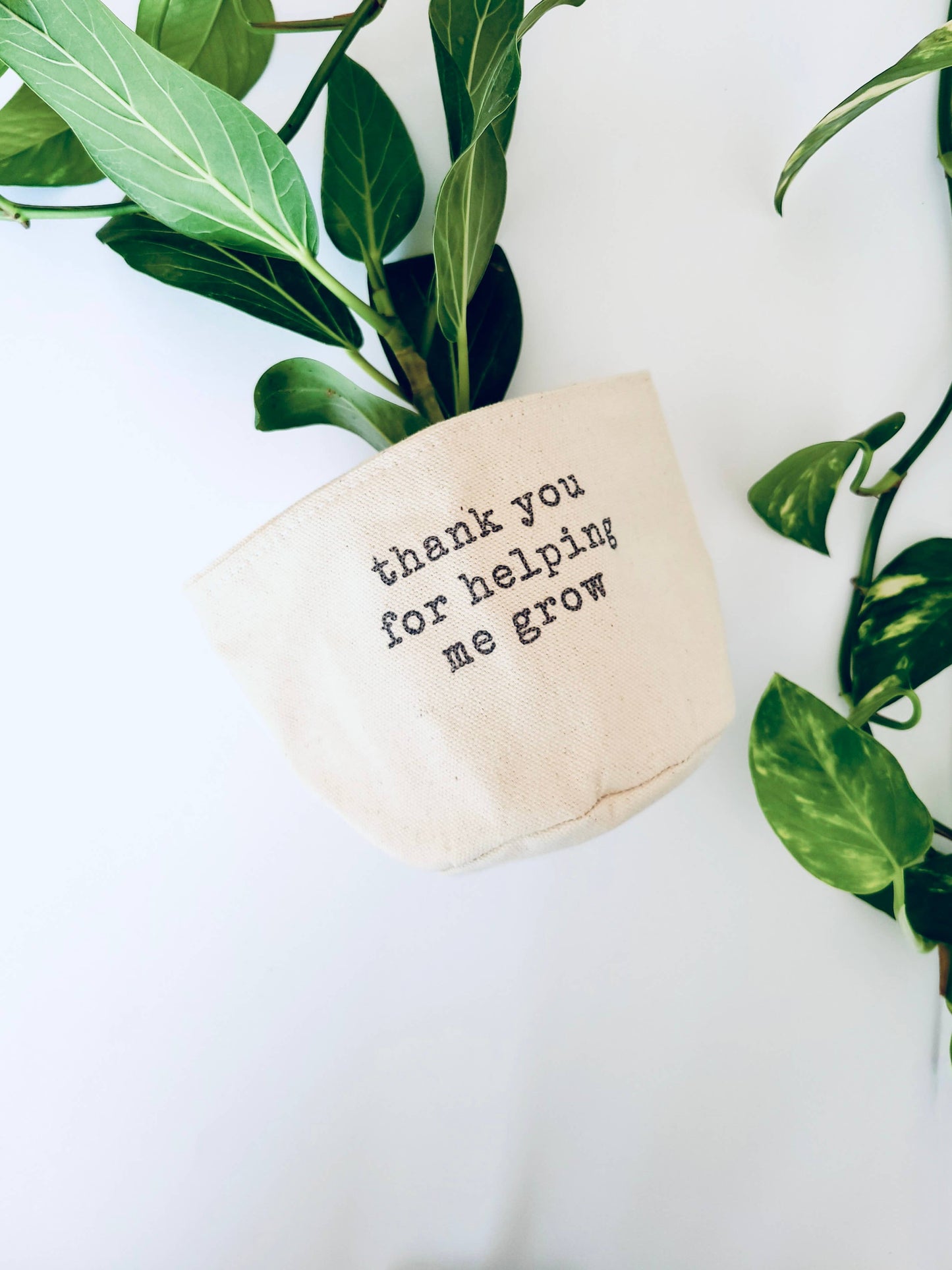 Thank you for helping me grow Canvas Plant Pot Cover