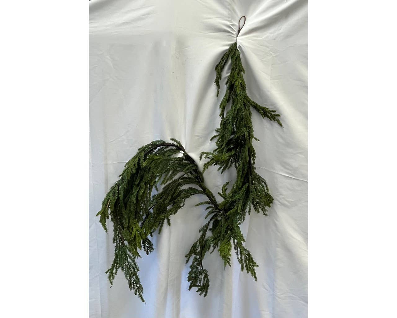Norfolk Pine 12' Garland