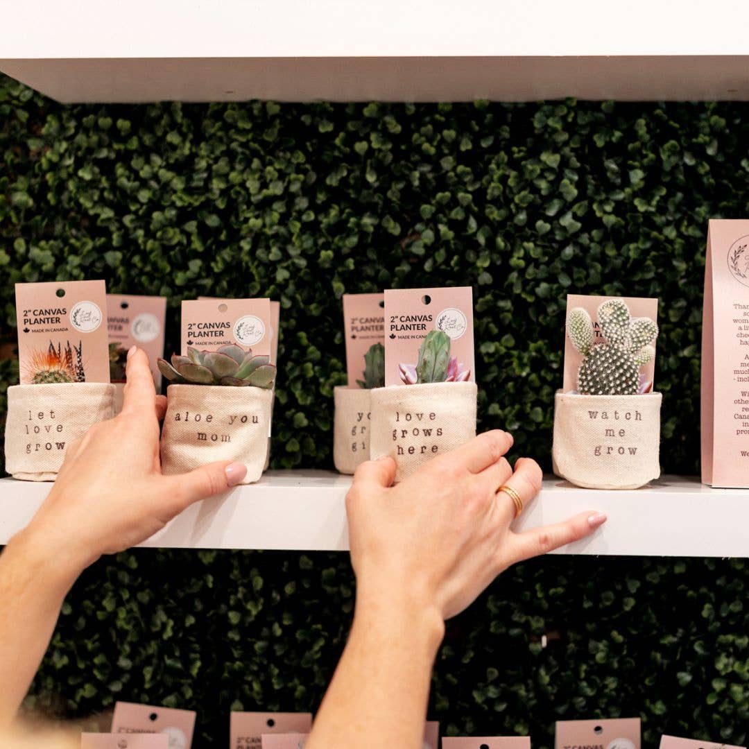 Let love grow 2" Canvas Plant Pot Cover