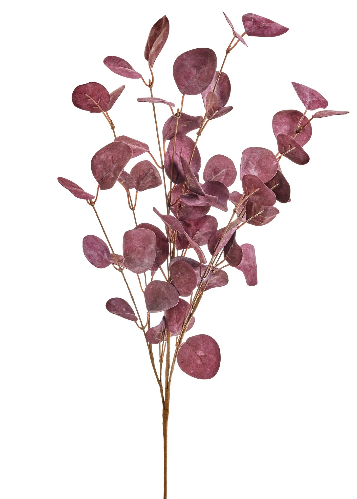 Eucalyptus Branch Burgundy