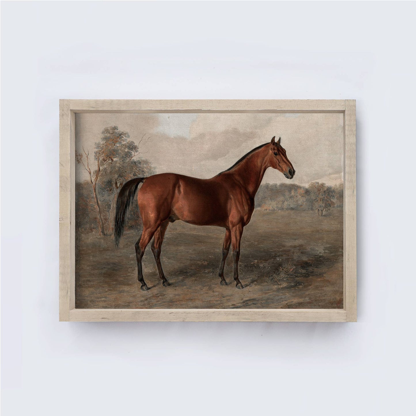 Vintage Equestrian Framed Art