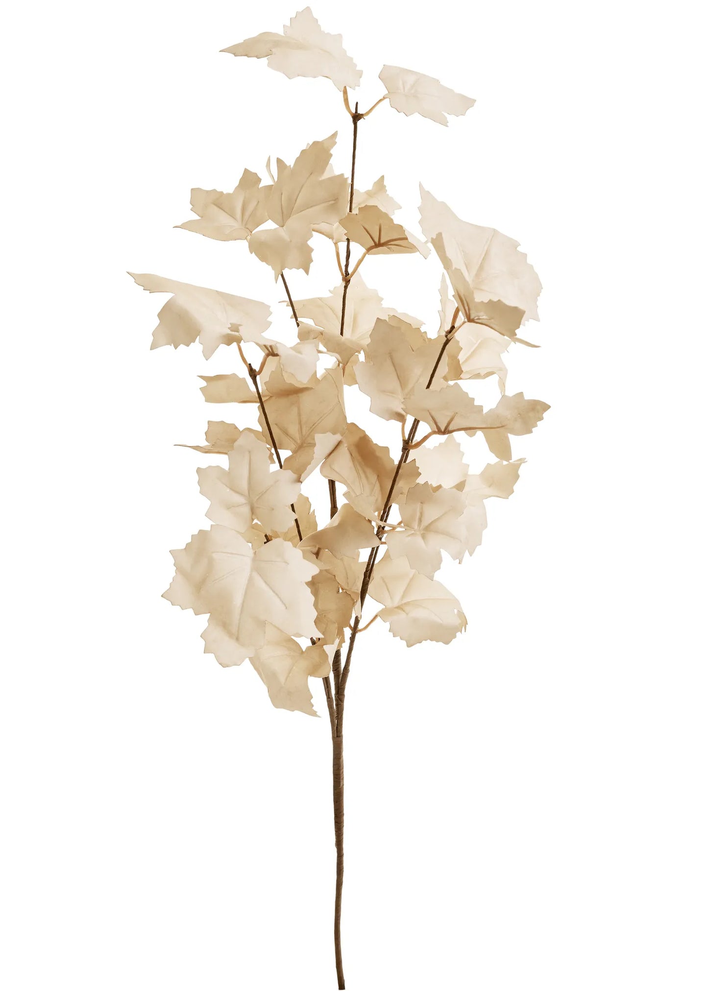 Beige Maple Leaf Branch