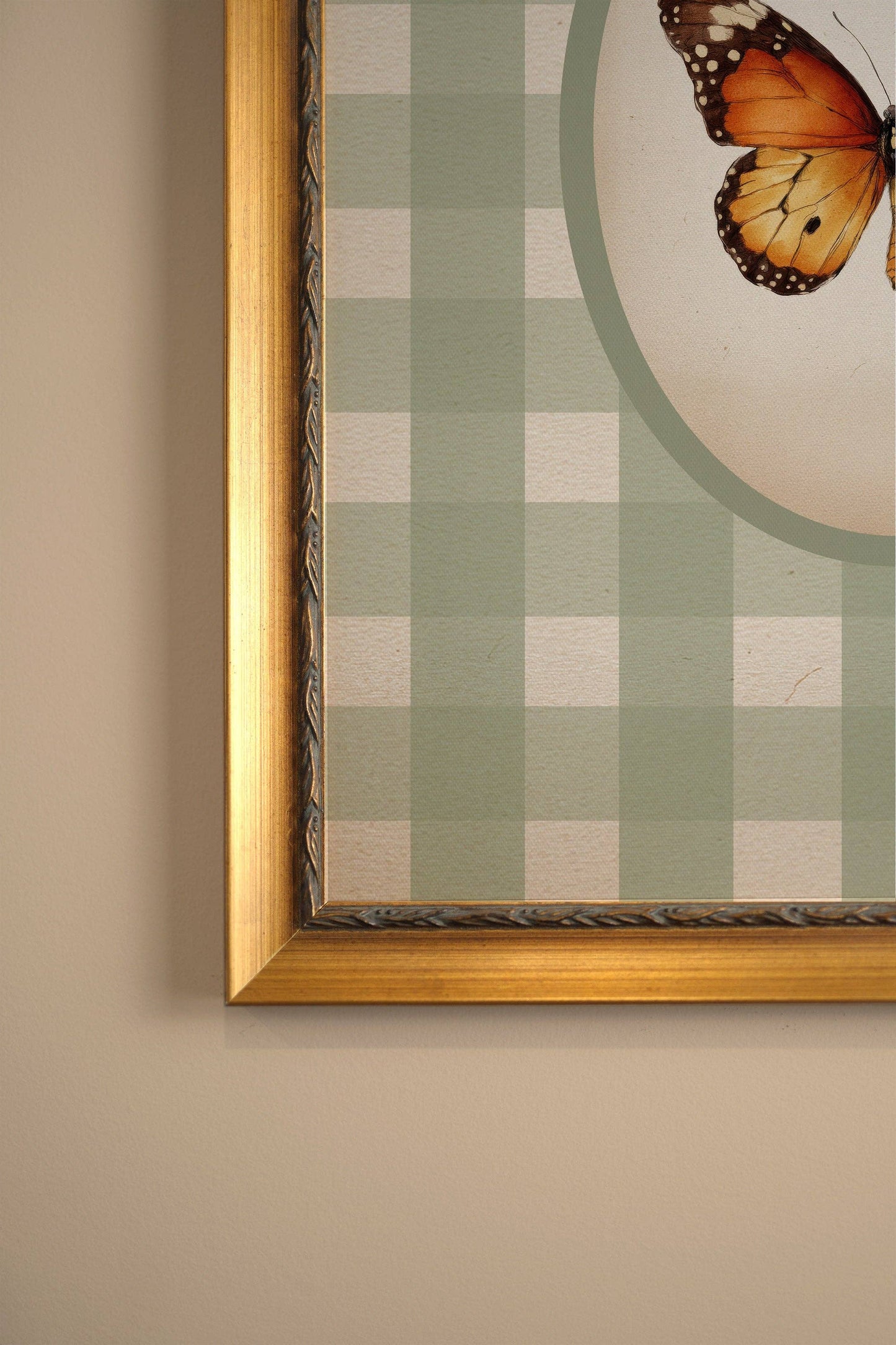 Timeless Wings - Framed