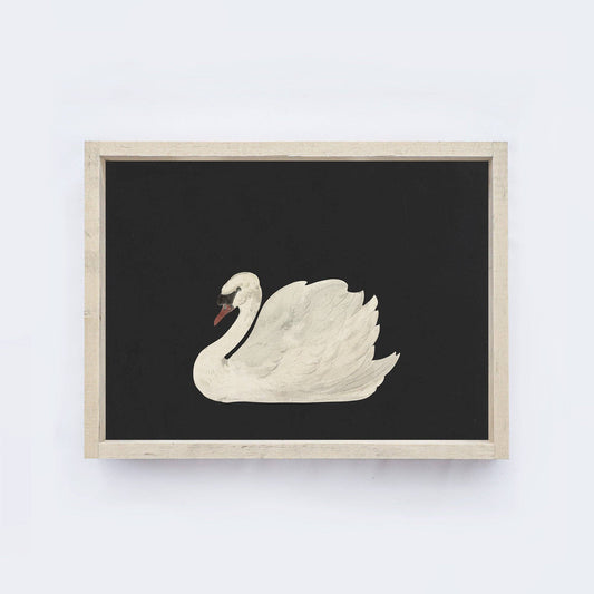 Vintage Framed Swan Painting