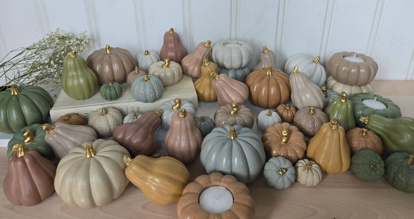 Gourds Decor- Butternut