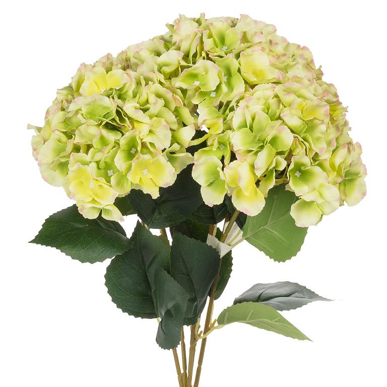 5 stem Hydrangea Bouquet