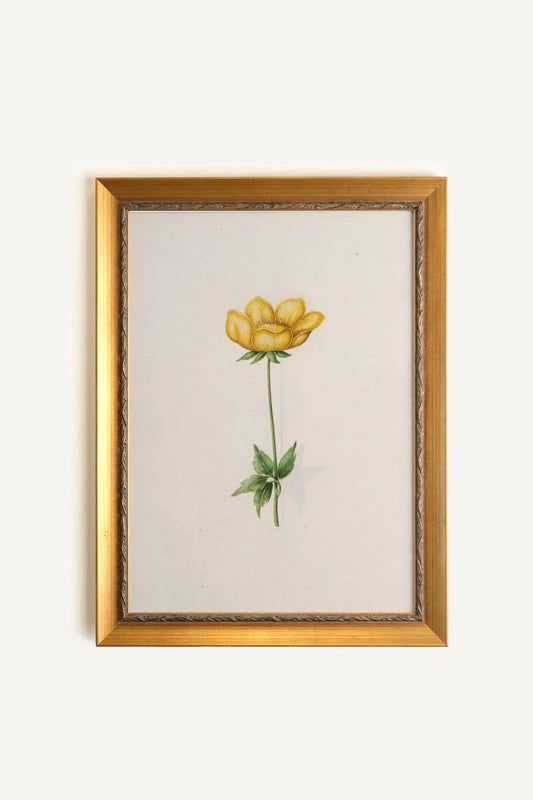 Botanical Poetry -  Framed