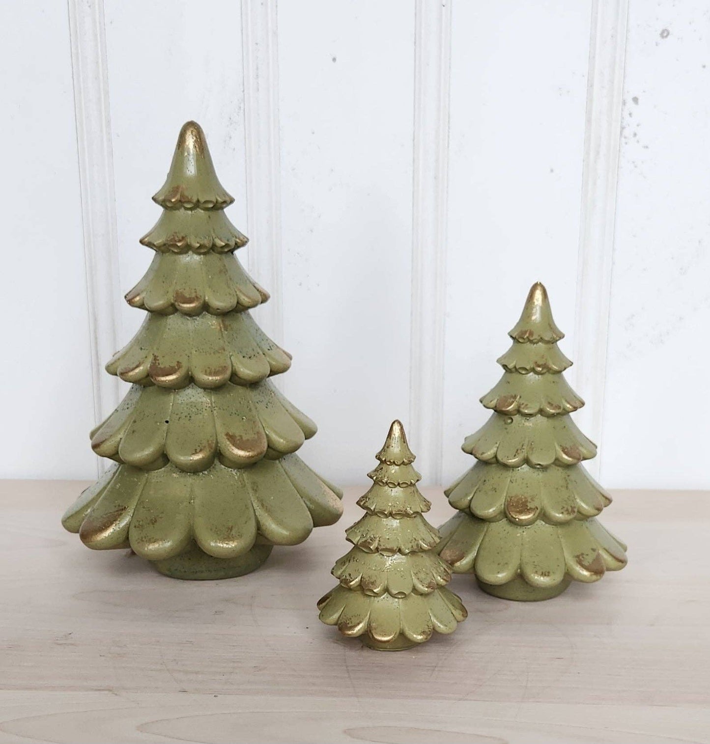 Olive Concrete Spruce Tree