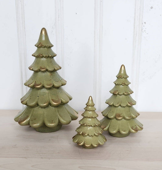 Olive Concrete Spruce Tree