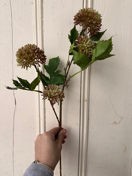 Echinops Spray Bundle