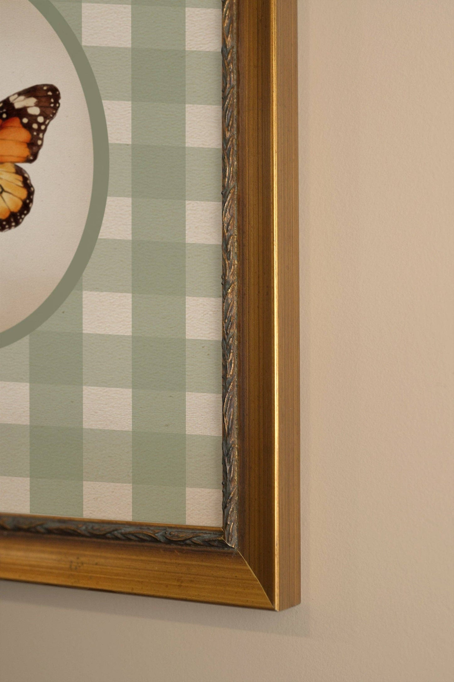 Timeless Wings - Framed