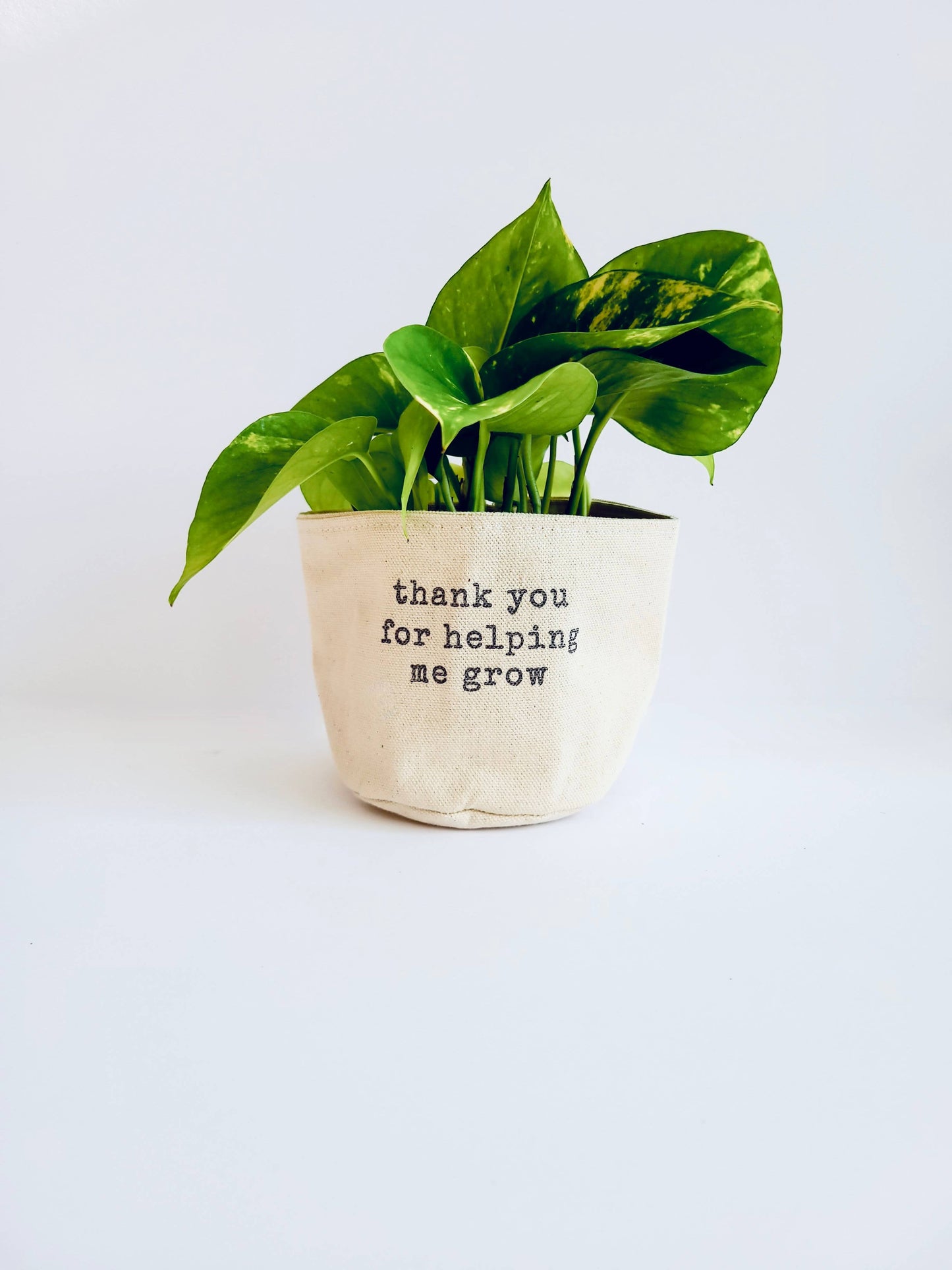 canvas plant pot cover Thank you for helping me grow Canvas Plant Pot Cover – Dovetails and Lavender