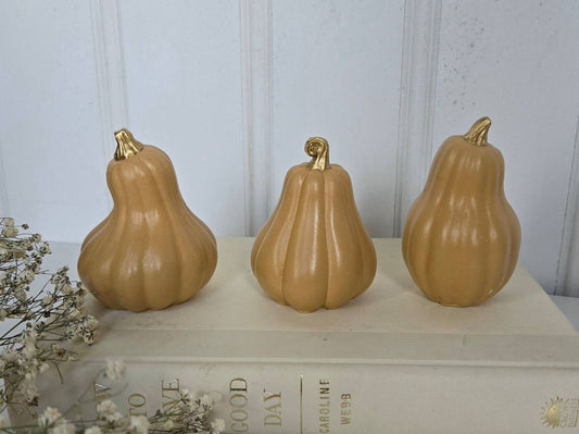 Gourds Decor- Butternut