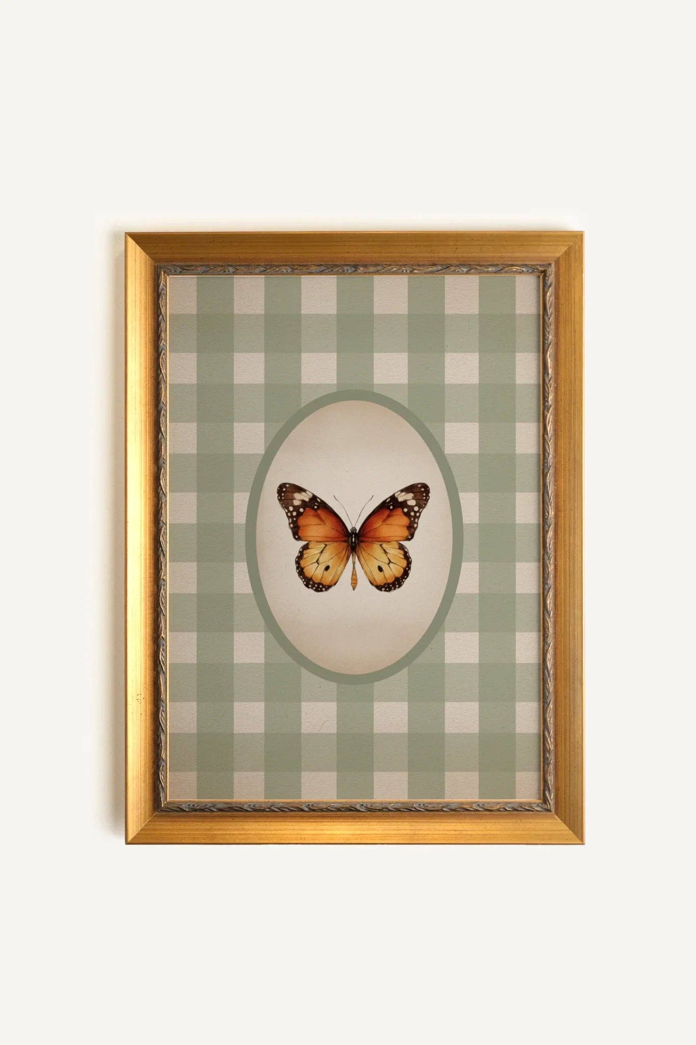 Timeless Wings - Framed