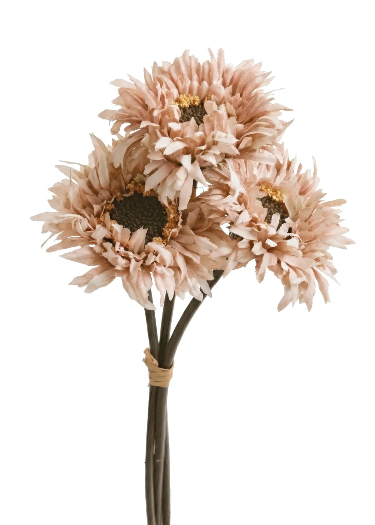 English Daisy Bouquet Vintage Pinnk