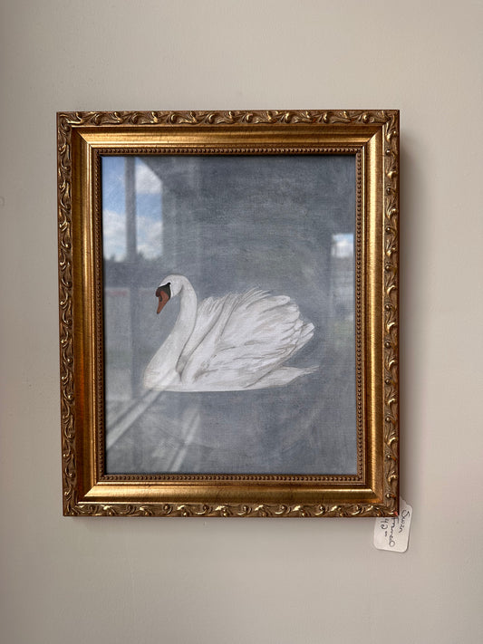 Swan