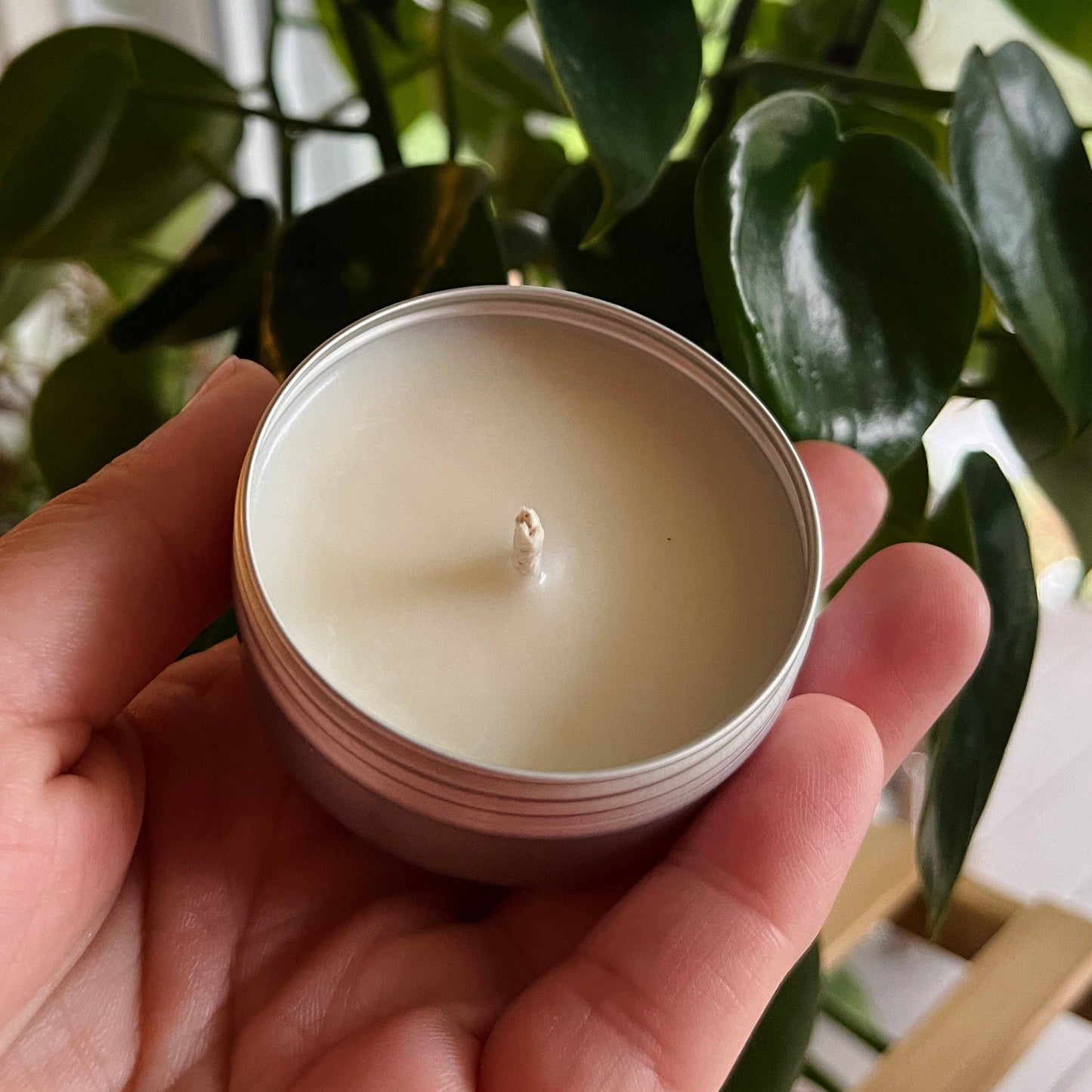 CONSTANTIA soy candle cedar and amber