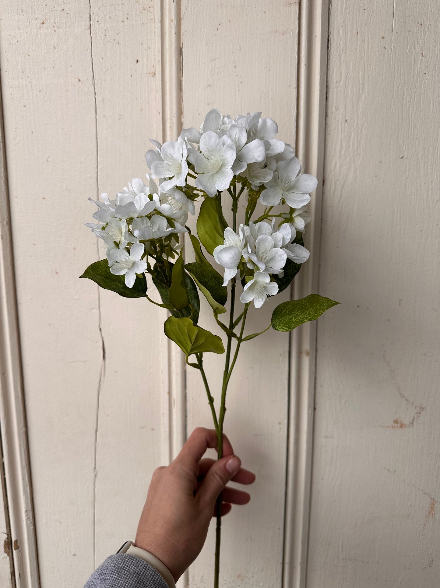 Triple Spring Blossom