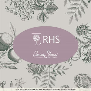 Botanical Drawings