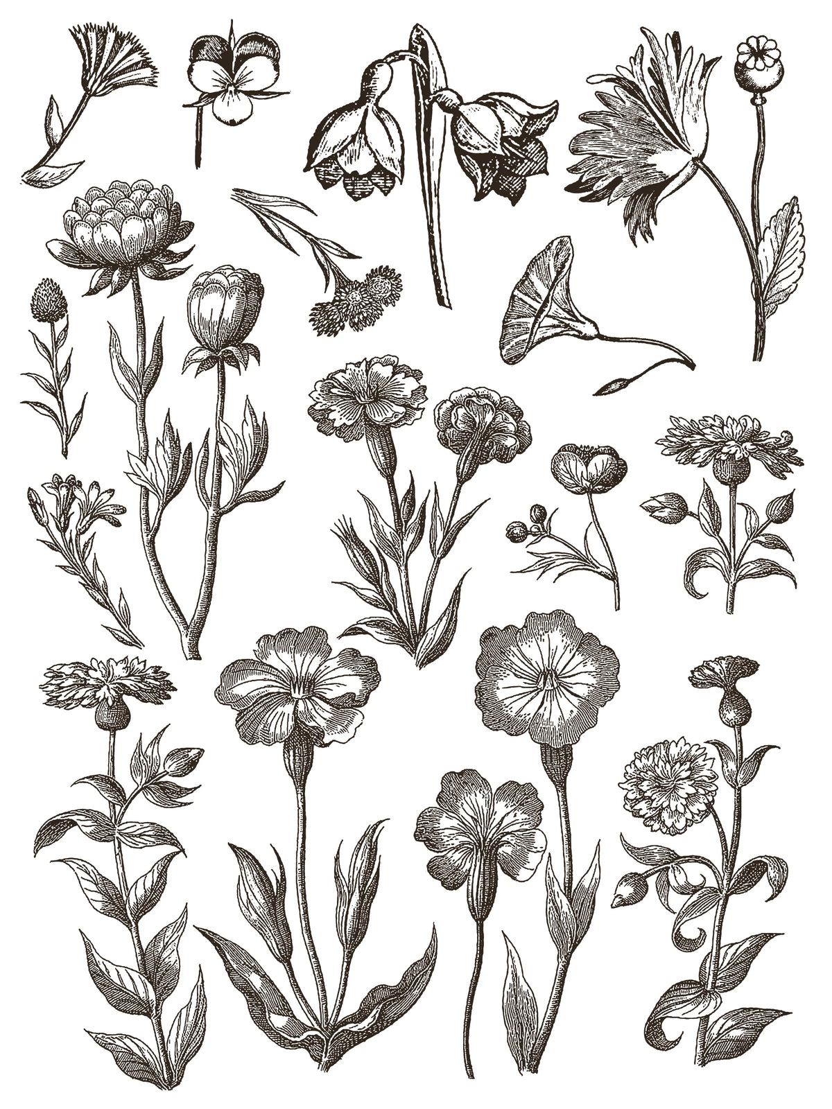 Floriography