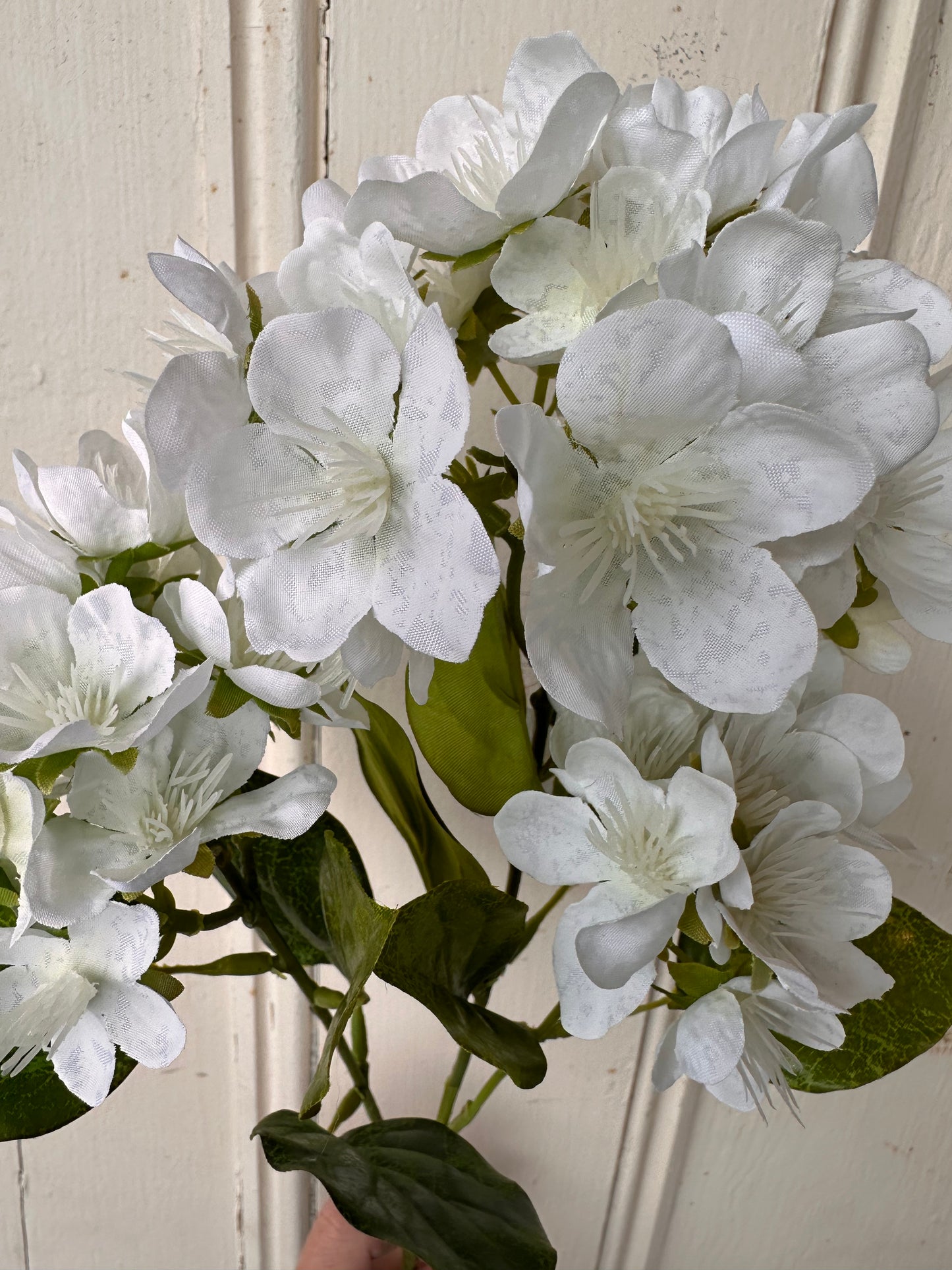 Triple Spring Blossom