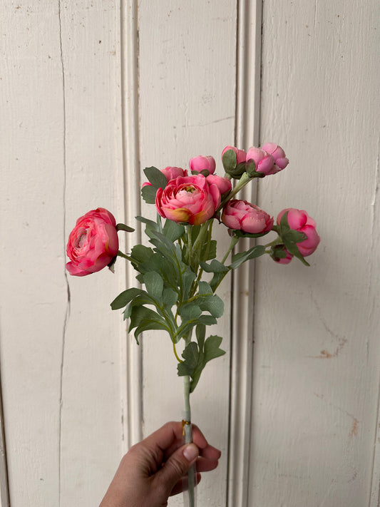 Ranunculus Spray