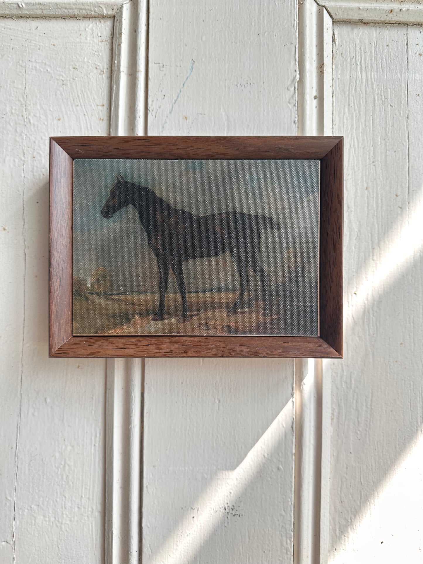 Framed Horse Print