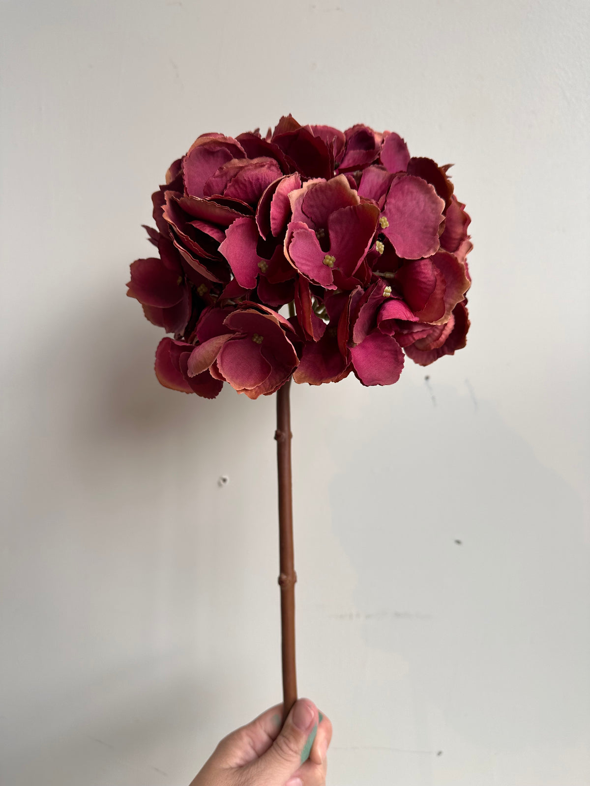 Hydrangea Stem Bordeaux