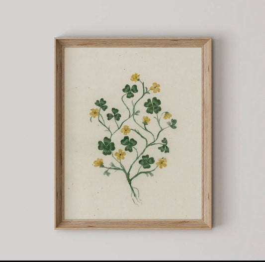 Phlox flower - reproduction