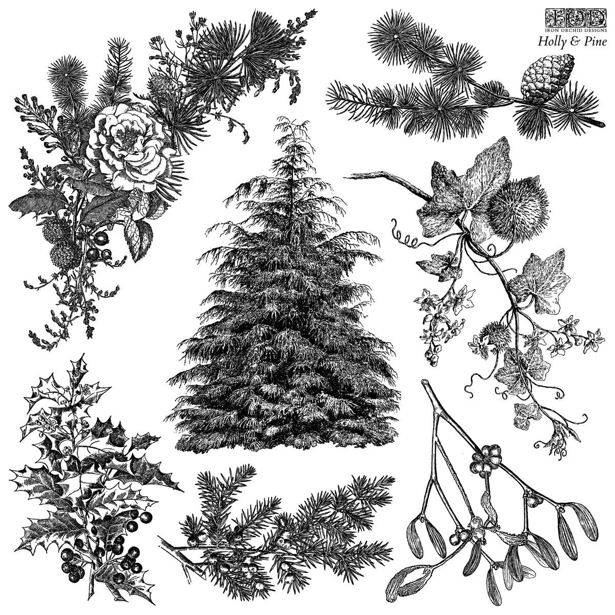 Holly & Pine