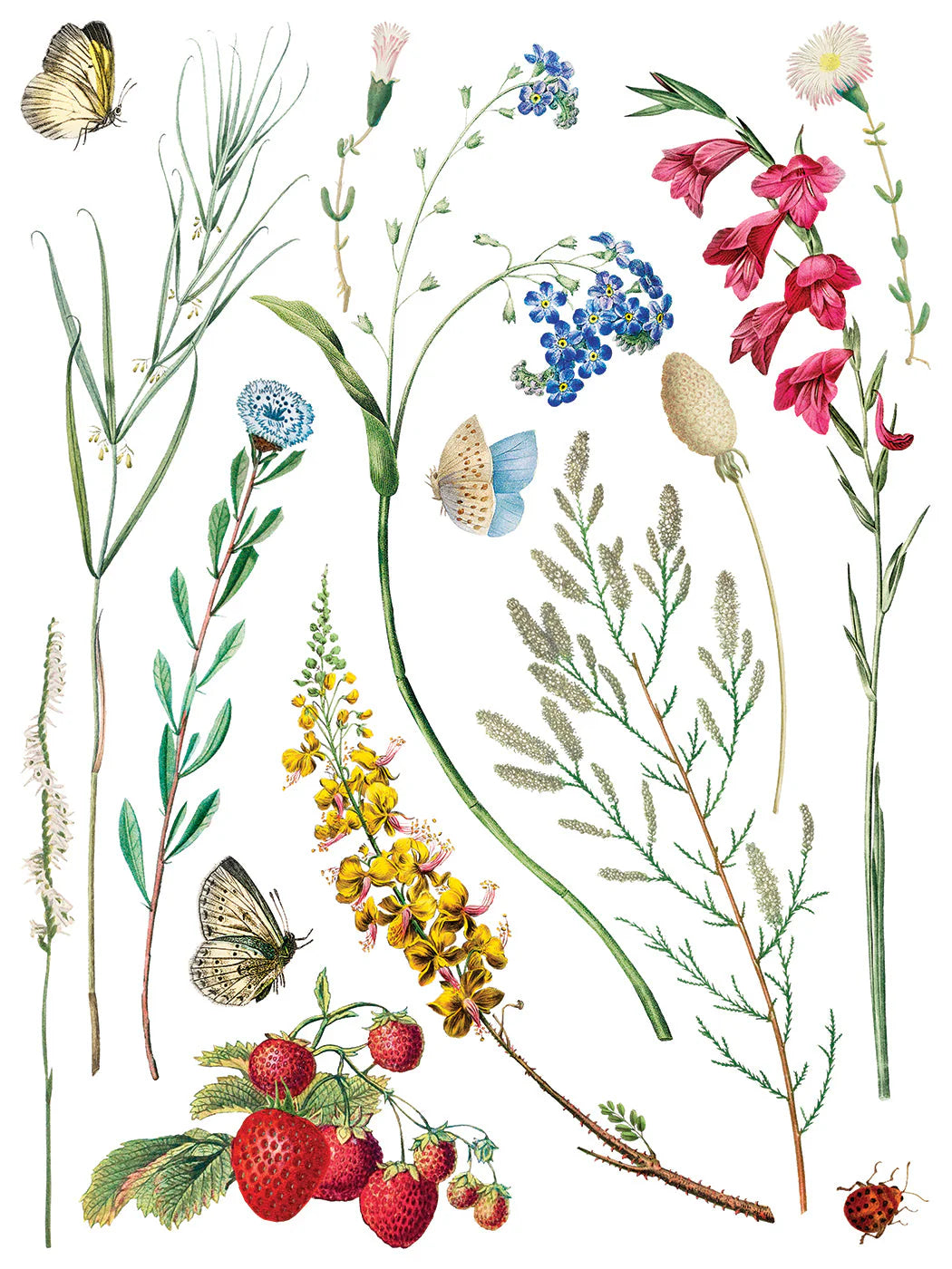 Marché Des Fleurs
