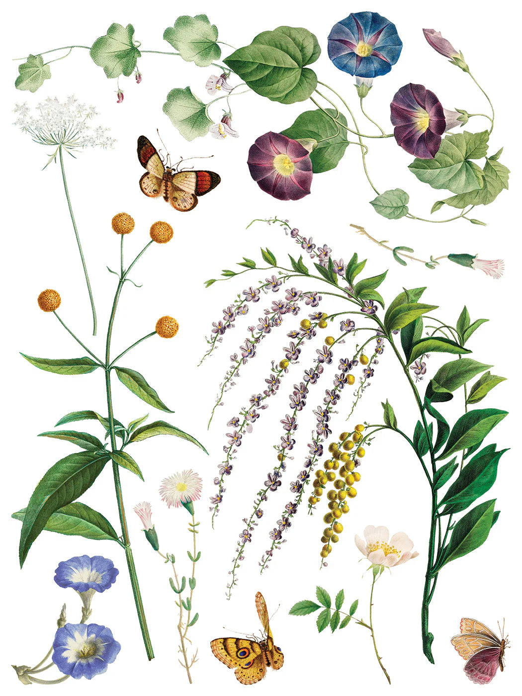 Marché Des Fleurs