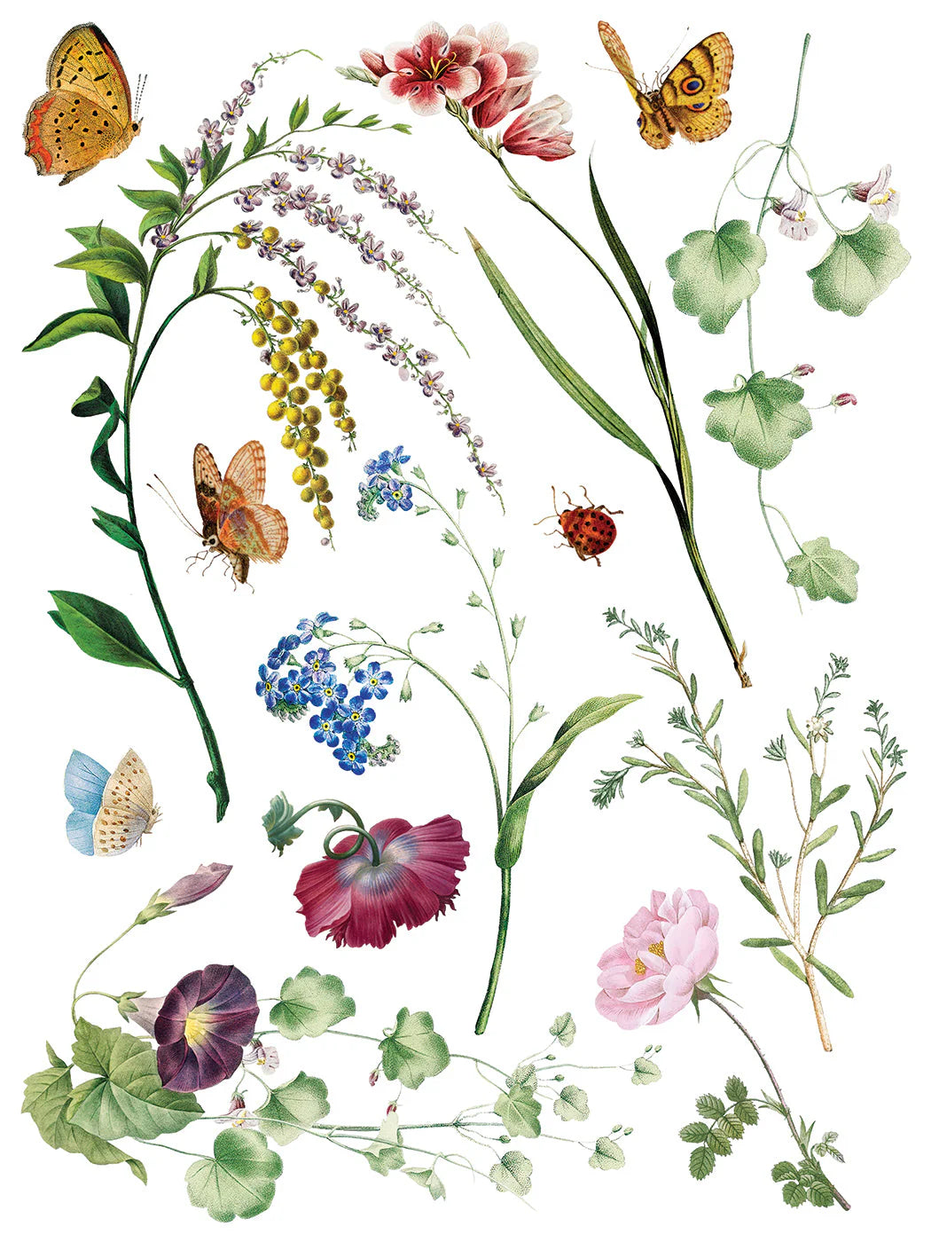 Marché Des Fleurs