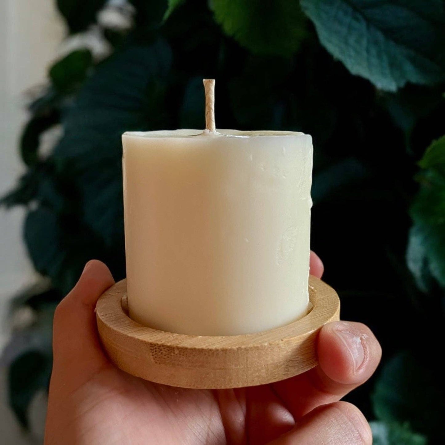 CONSTANTIA soy candle cedar and amber
