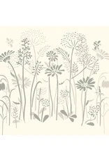Meadow Flowers