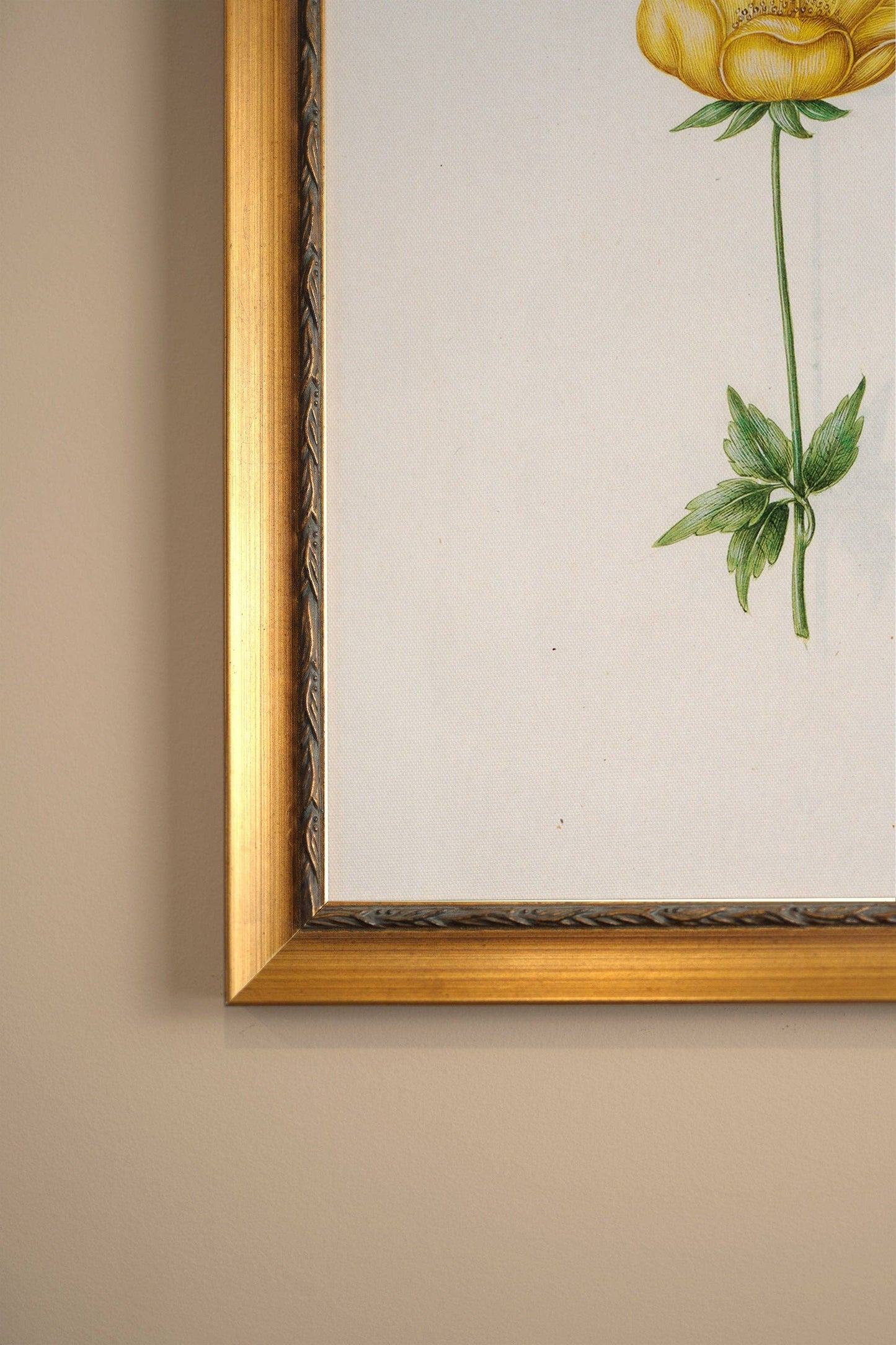 Botanical Poetry -  Framed