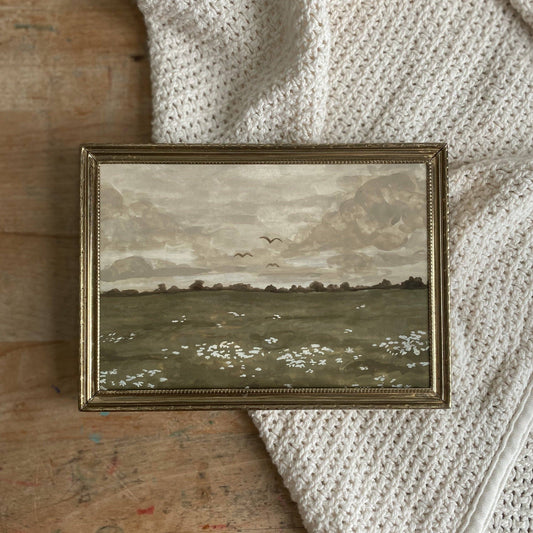 Antique Field