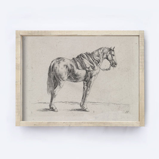 Vintage Horse Wall Art | Framed Equestrian