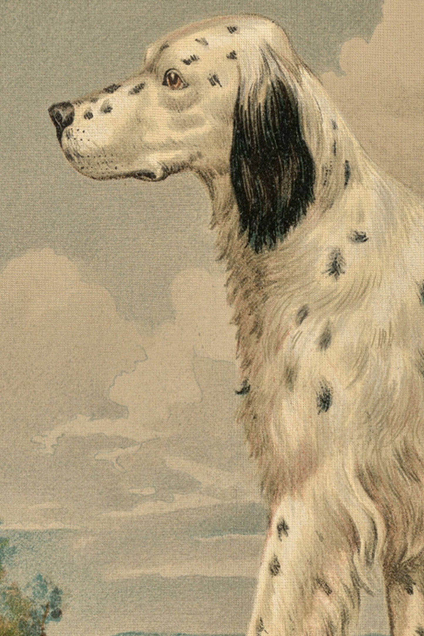 Faithful Companion - Framed