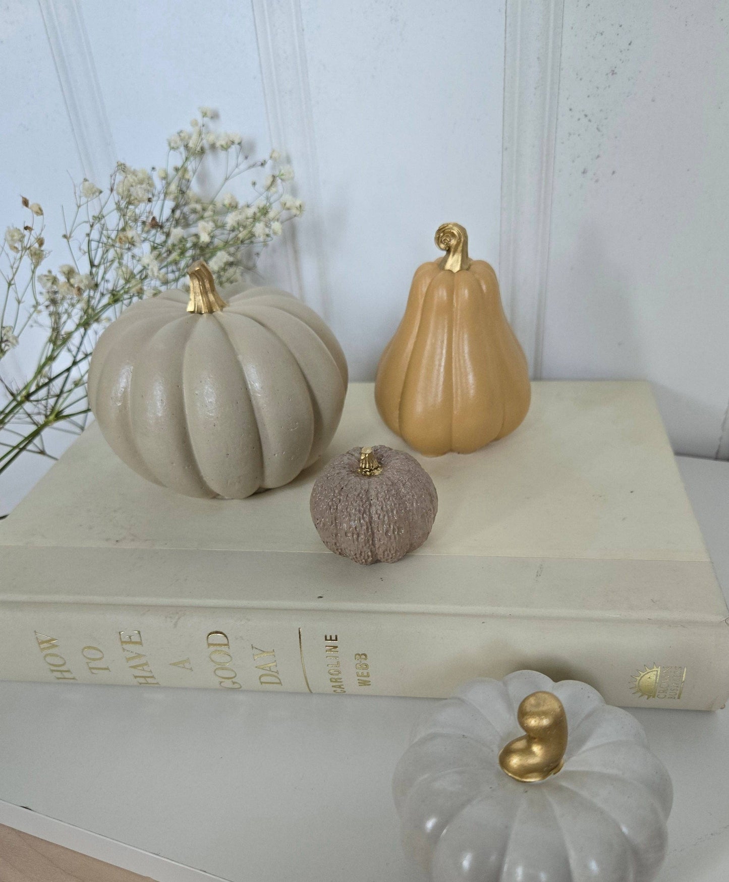 Gourds Decor- Butternut
