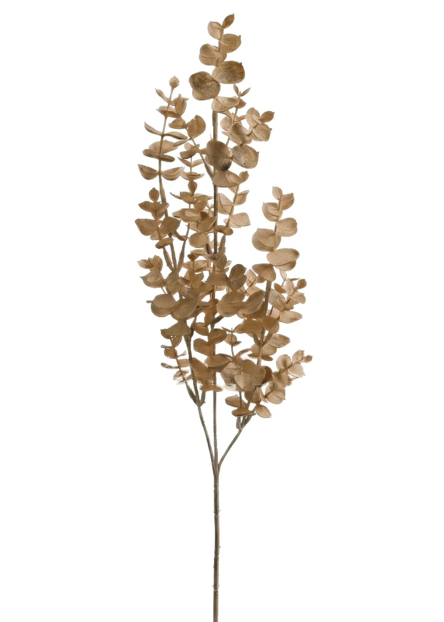 Mini Eucalyptus Spray