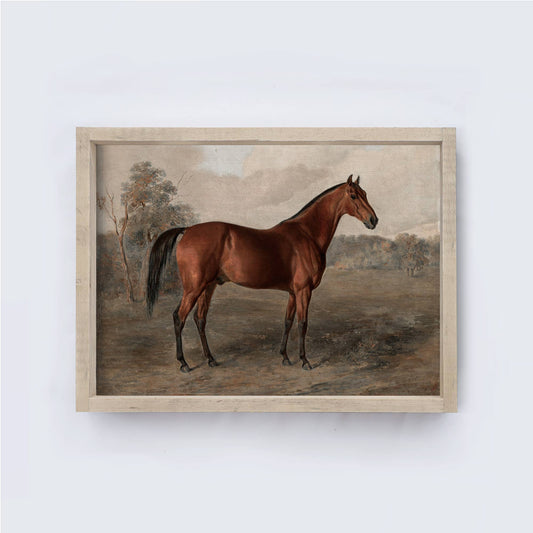 Vintage Equestrian Framed Art