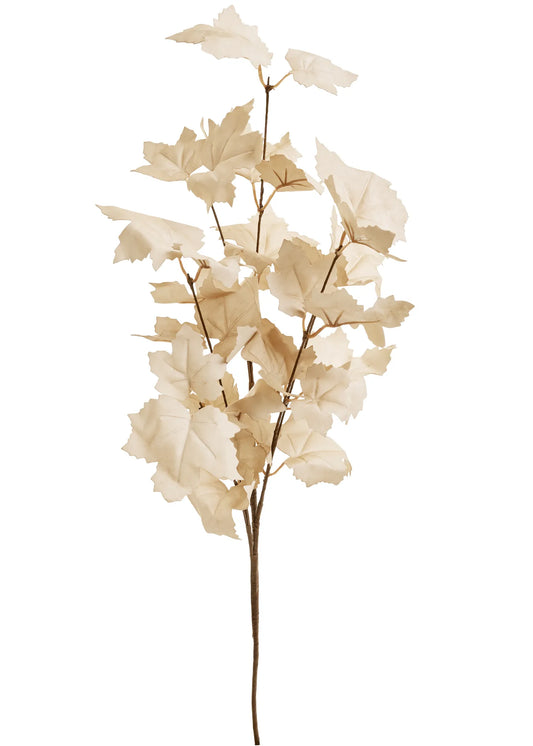 Beige Maple Leaf Branch