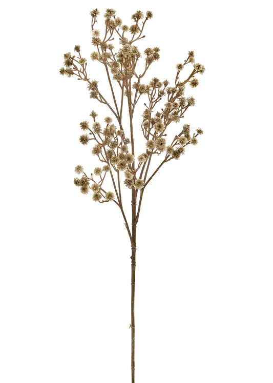 Green Stem Flowers
